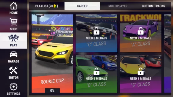 赛道世界全车辆解锁版