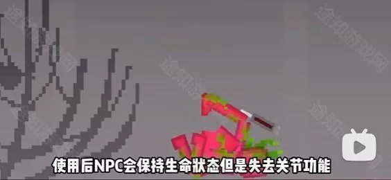 甜瓜游乐场30.1国际版