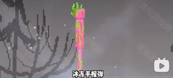 甜瓜游乐场30.1国际版