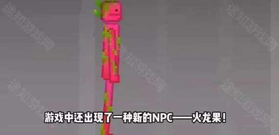 甜瓜游乐场30.1国际版