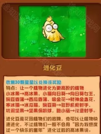 植物大战植物杂交版